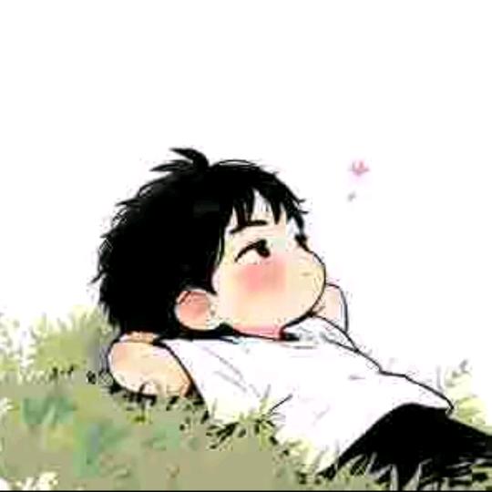 ㅤㅤ︃南风♪