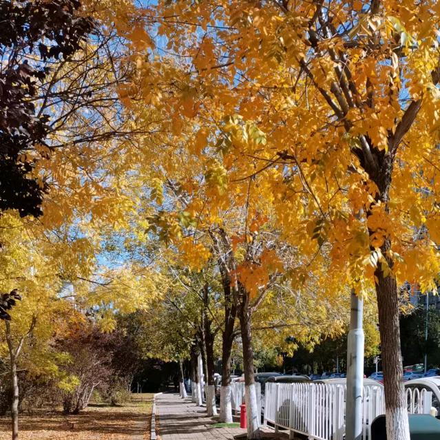 龙少🇨🇳🇨🇳