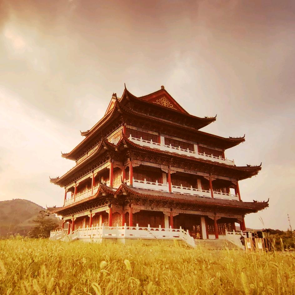 禅行天下