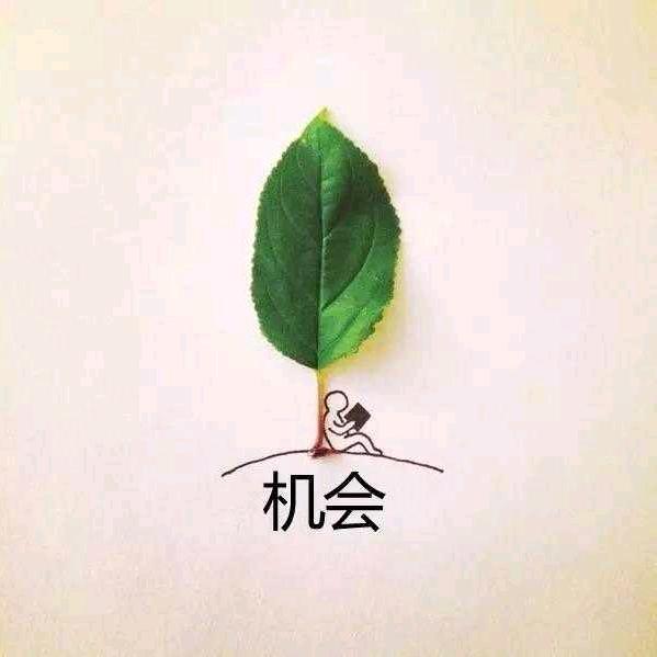 猫姐@