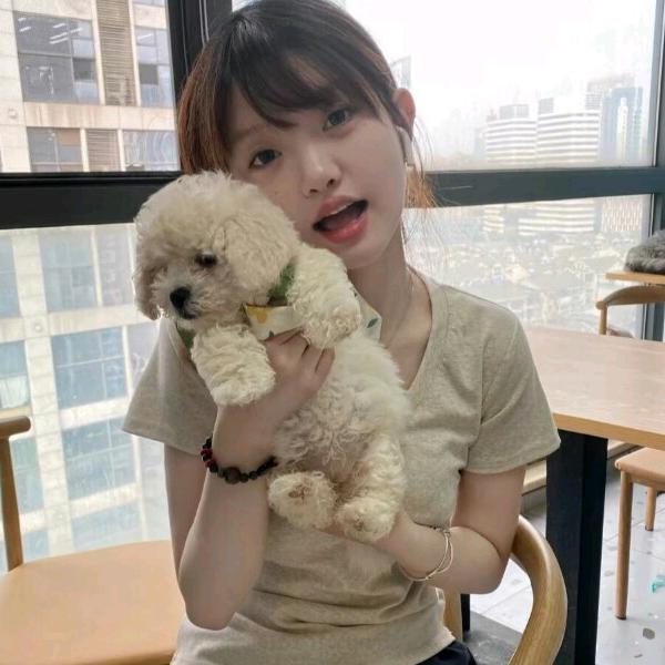 托托熊