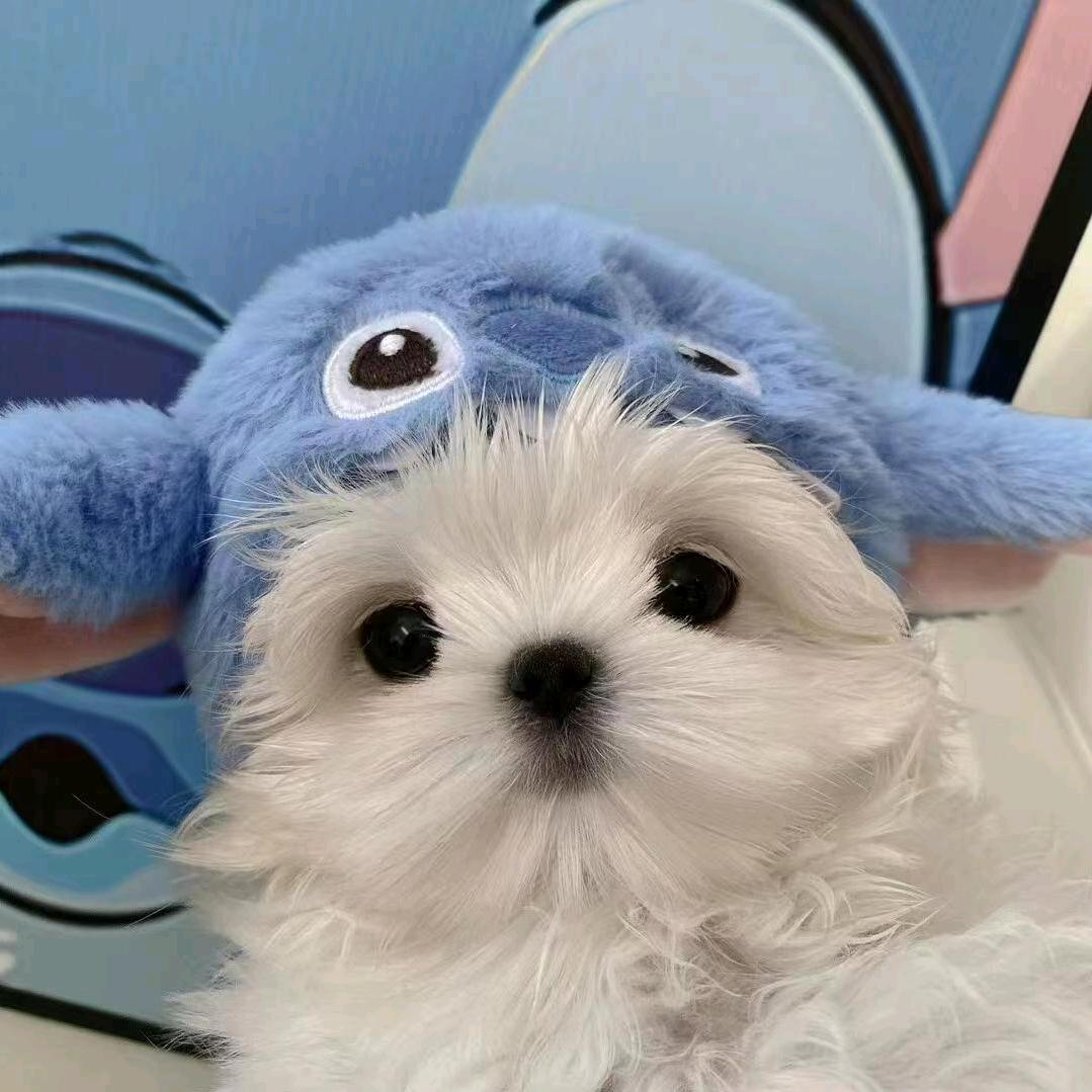 养发三生粥（周）.