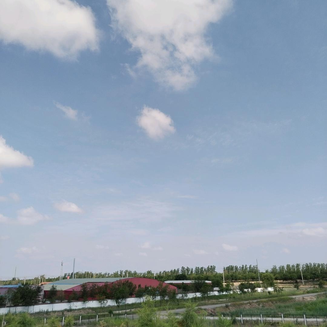 追梦教育陈老师
