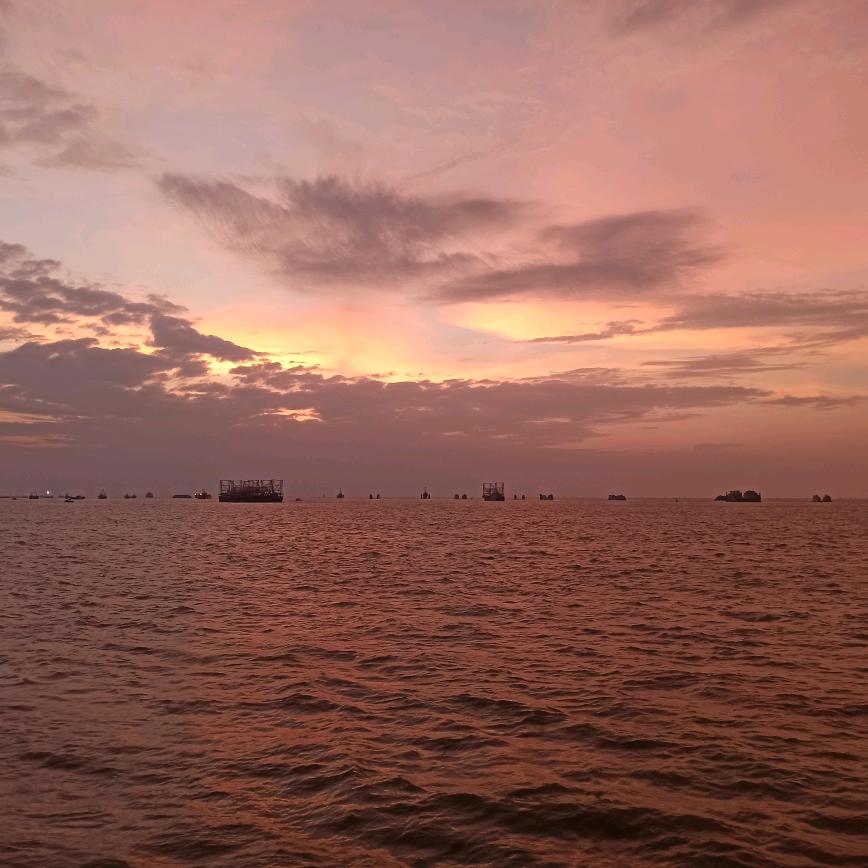 有梦想的咸鱼😀