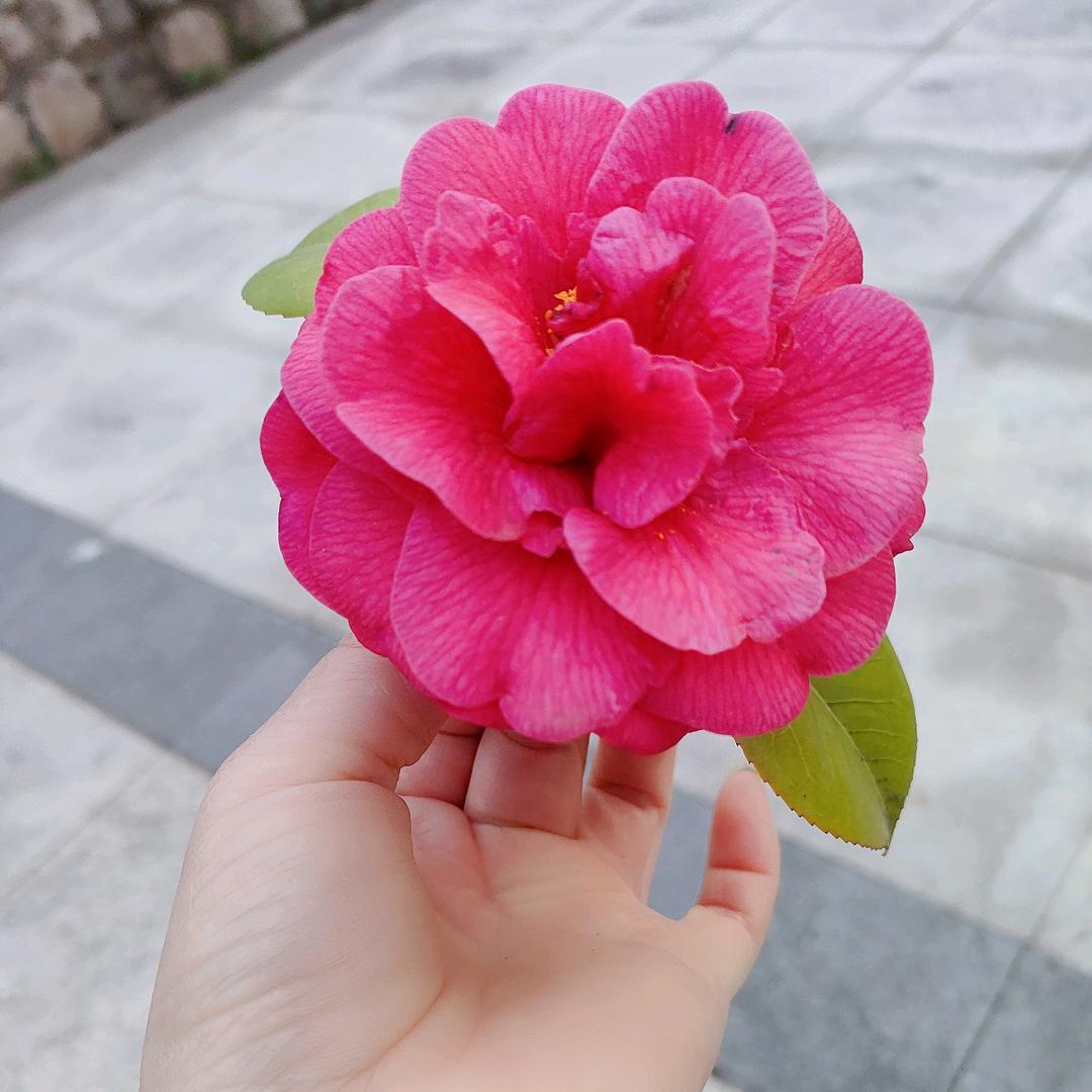 王憨憨