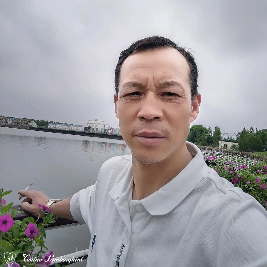 大意洋洋