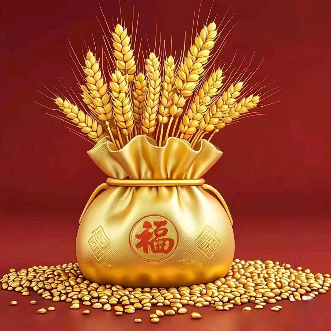 带刺的玫瑰🌹🌹