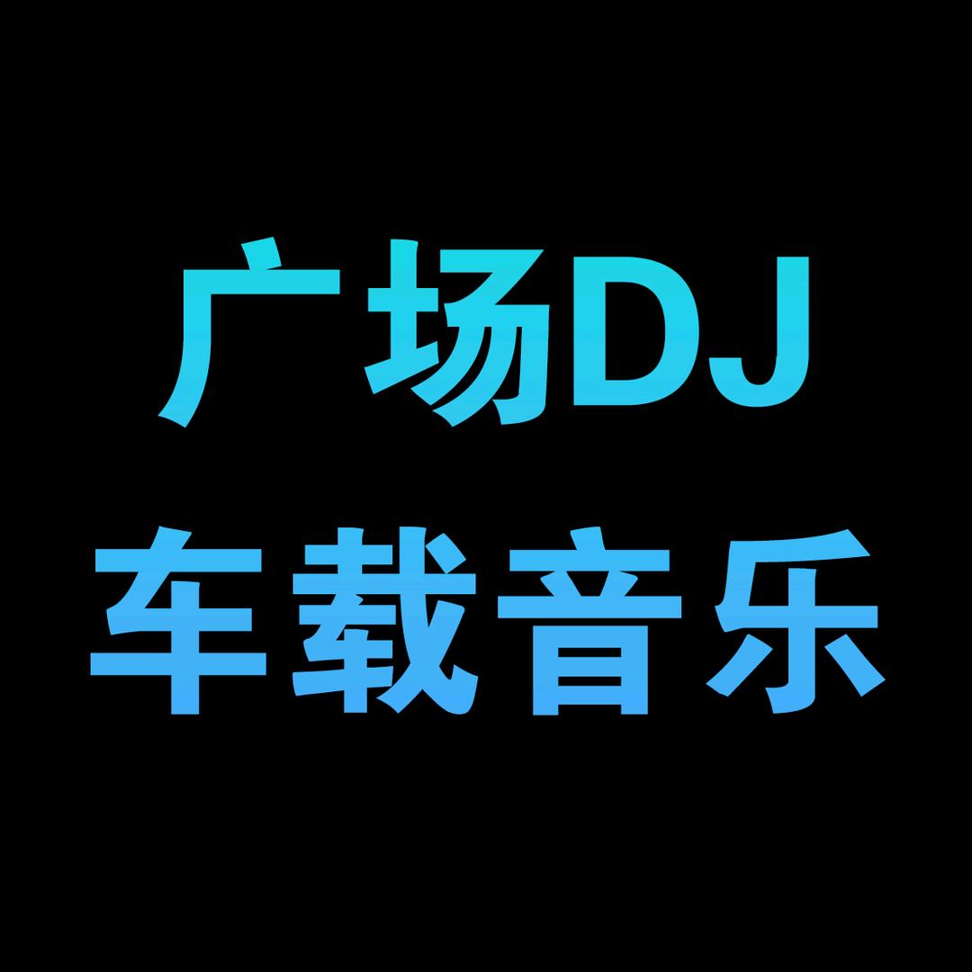 DJ光头车载音乐