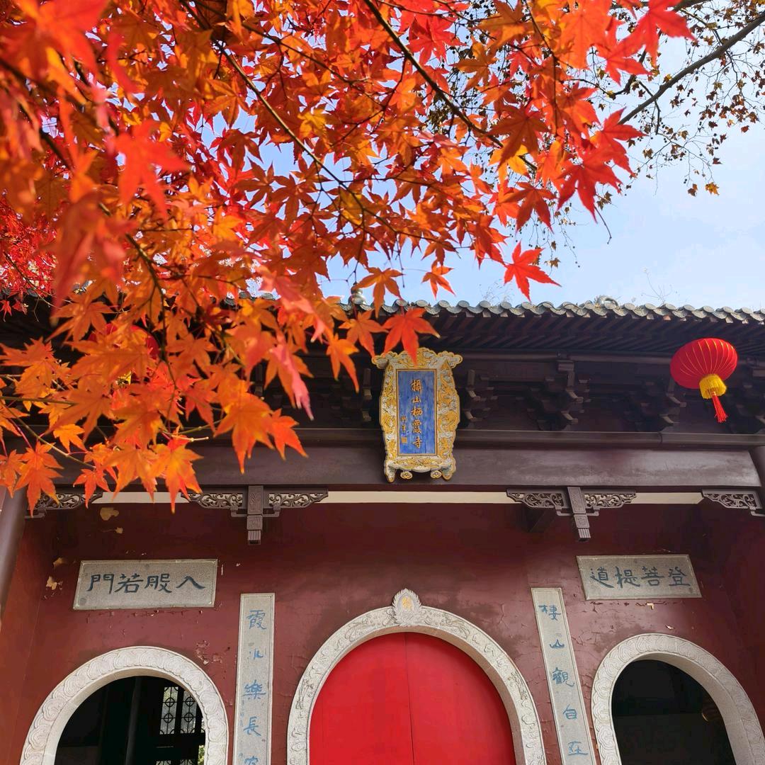 元气满满