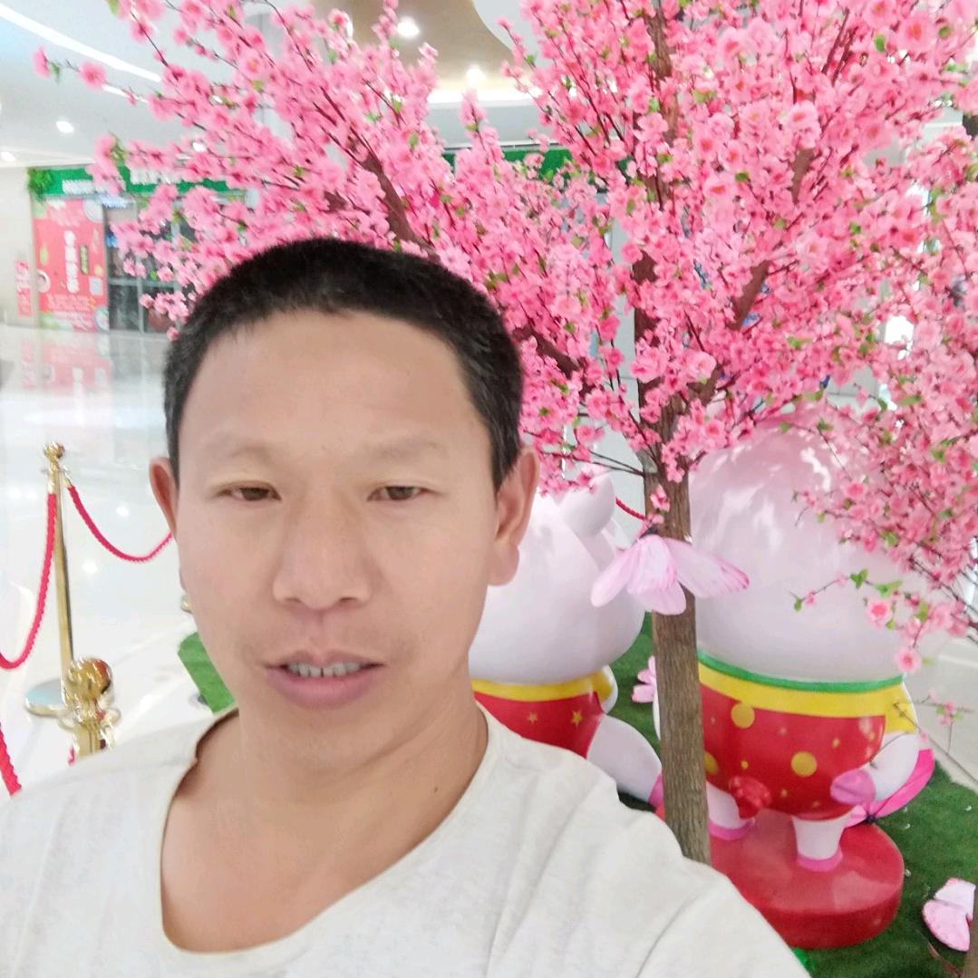 李萍