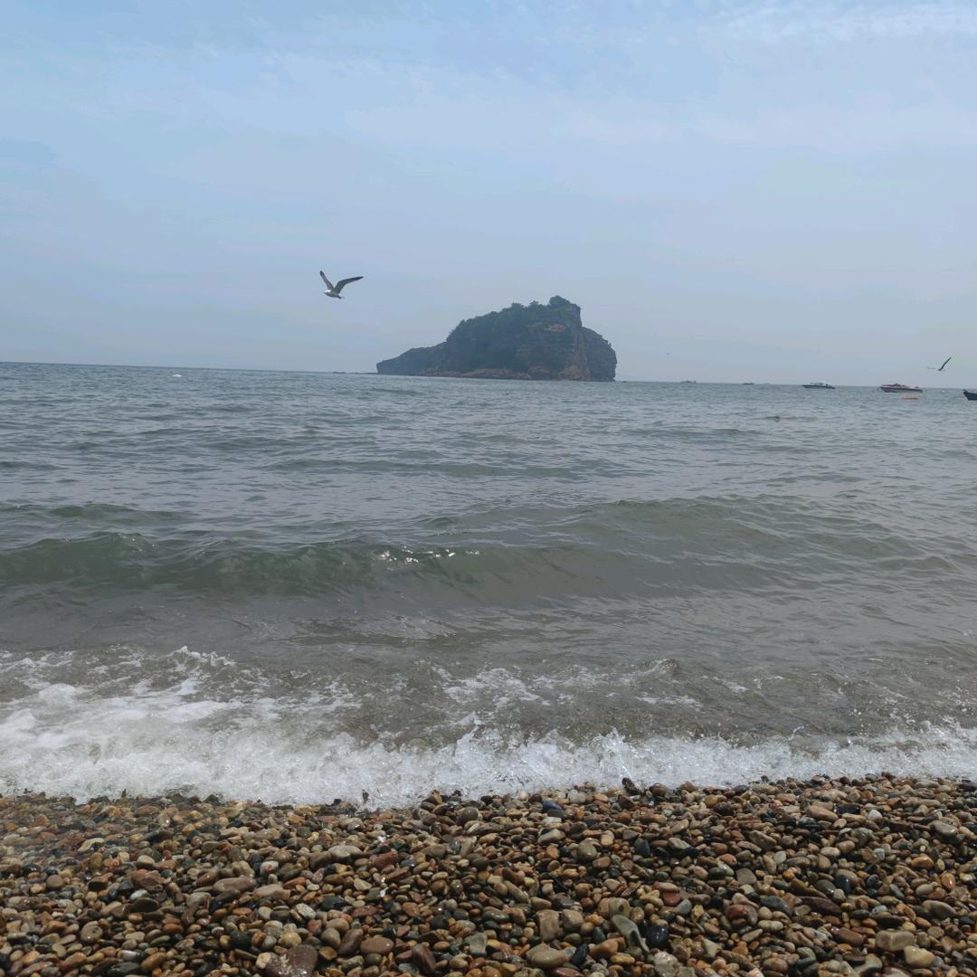 别拿豆包不当干粮