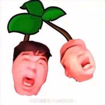车干这一块