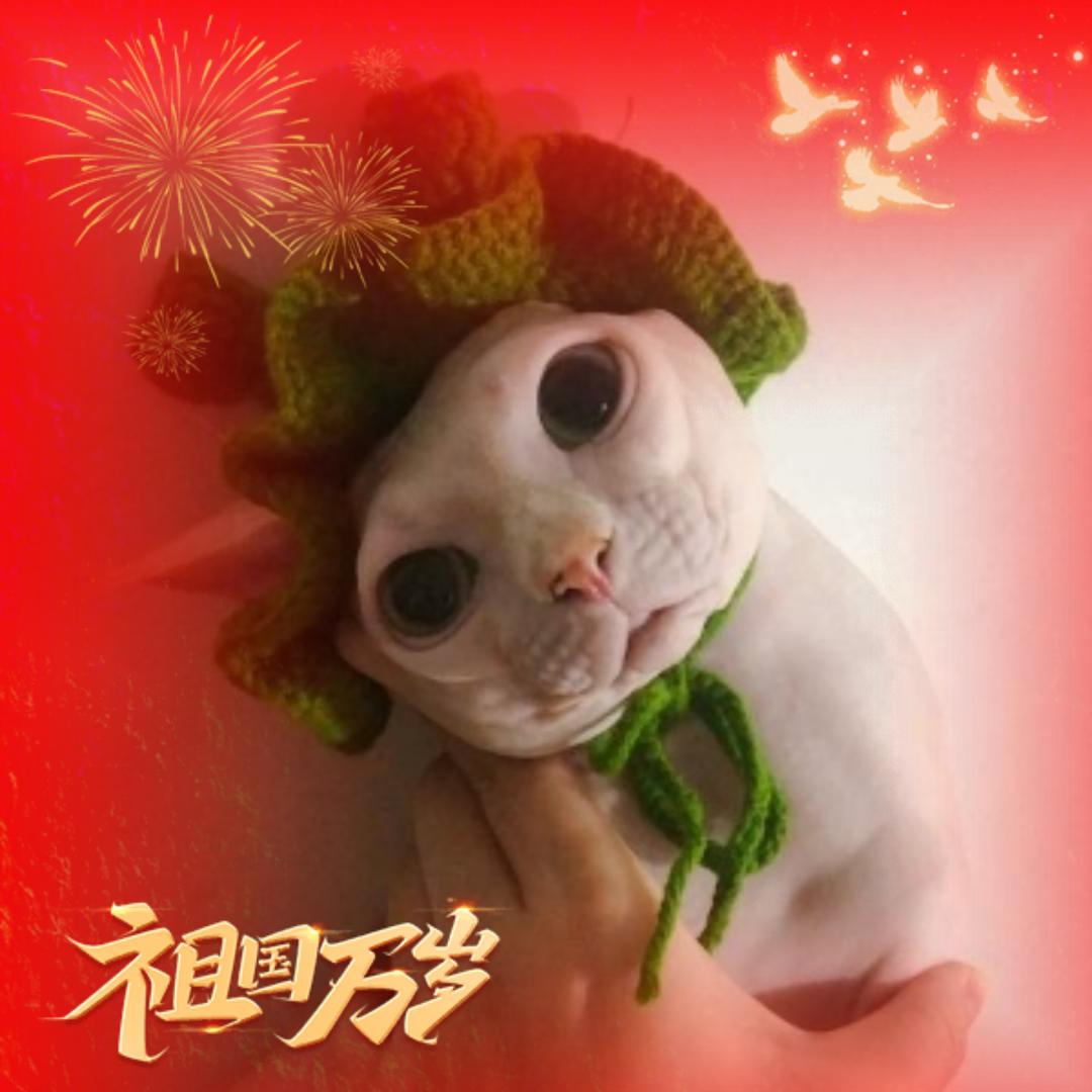 叨叨的糗事