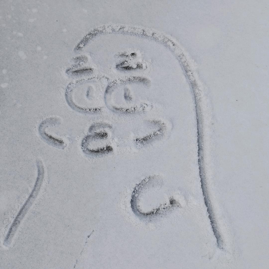 秦舒门窗，塞纳春天整装