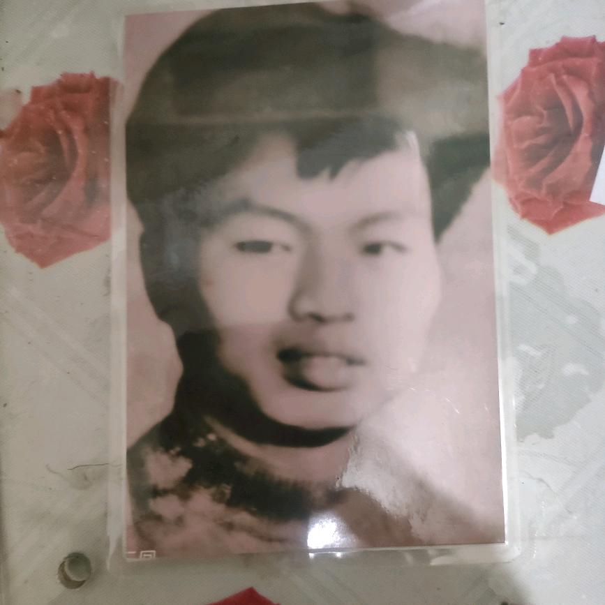 琴艺春