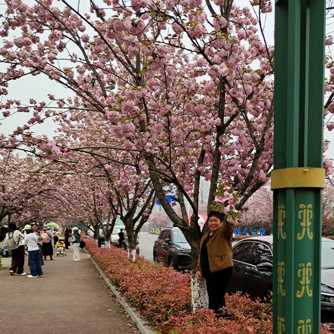你老美🌹🌹🎉📞📞🫀🪂🪂