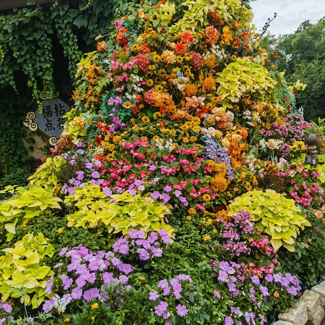 宝宝好物在橱窗