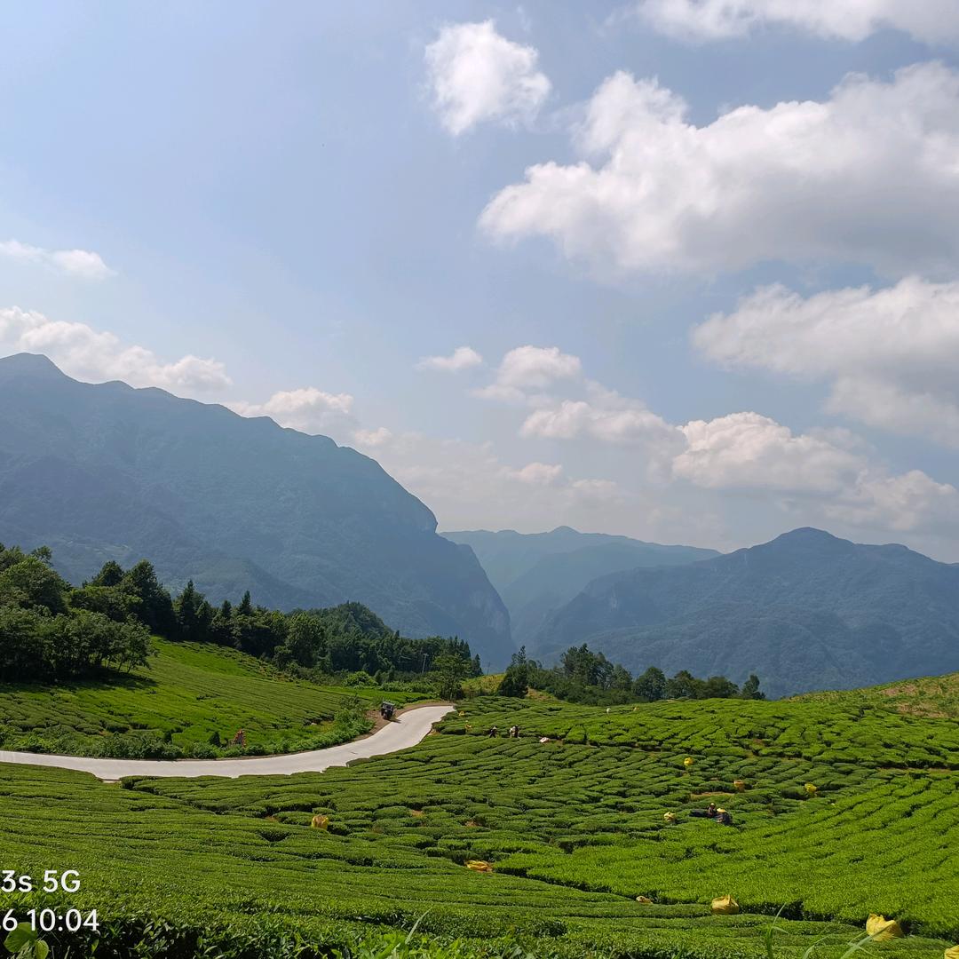 农品铺【义吧】