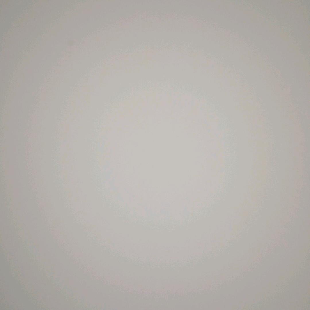 游——子