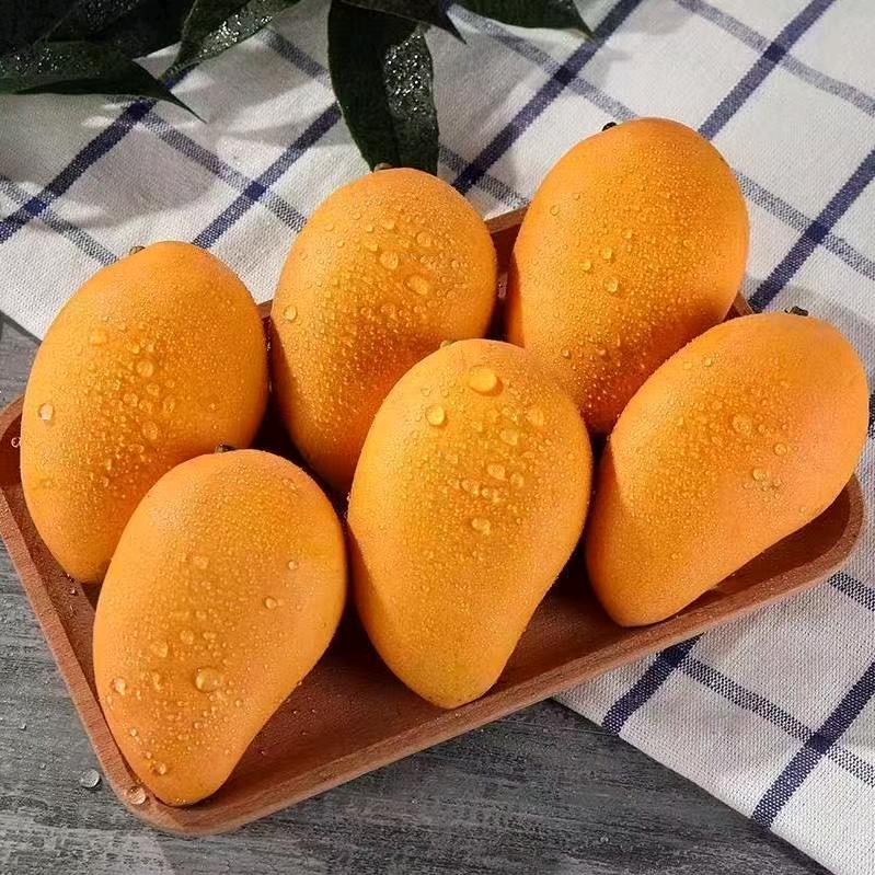 兔子吃水果（芒果）
