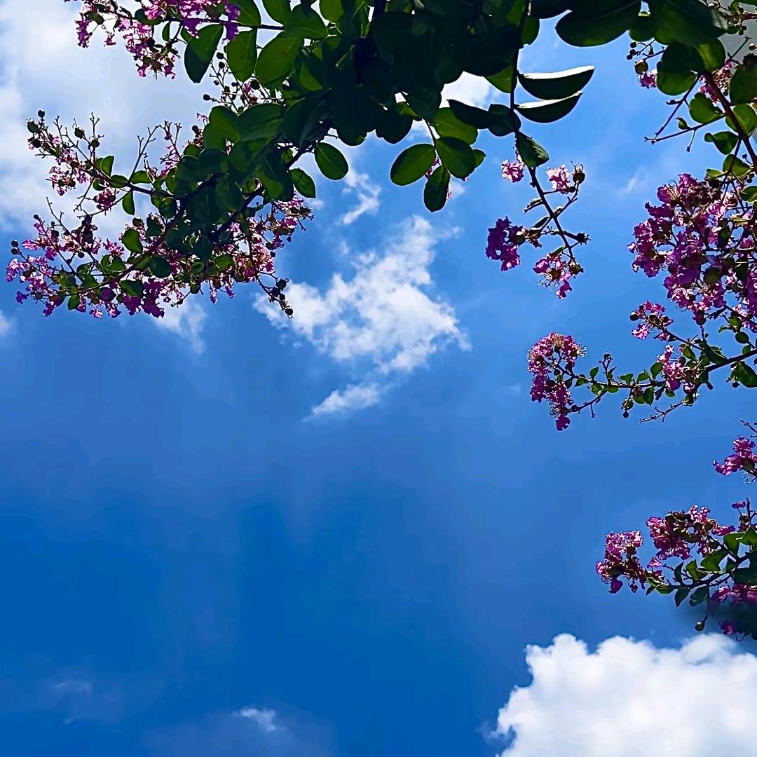 ☘️前方风景好💕