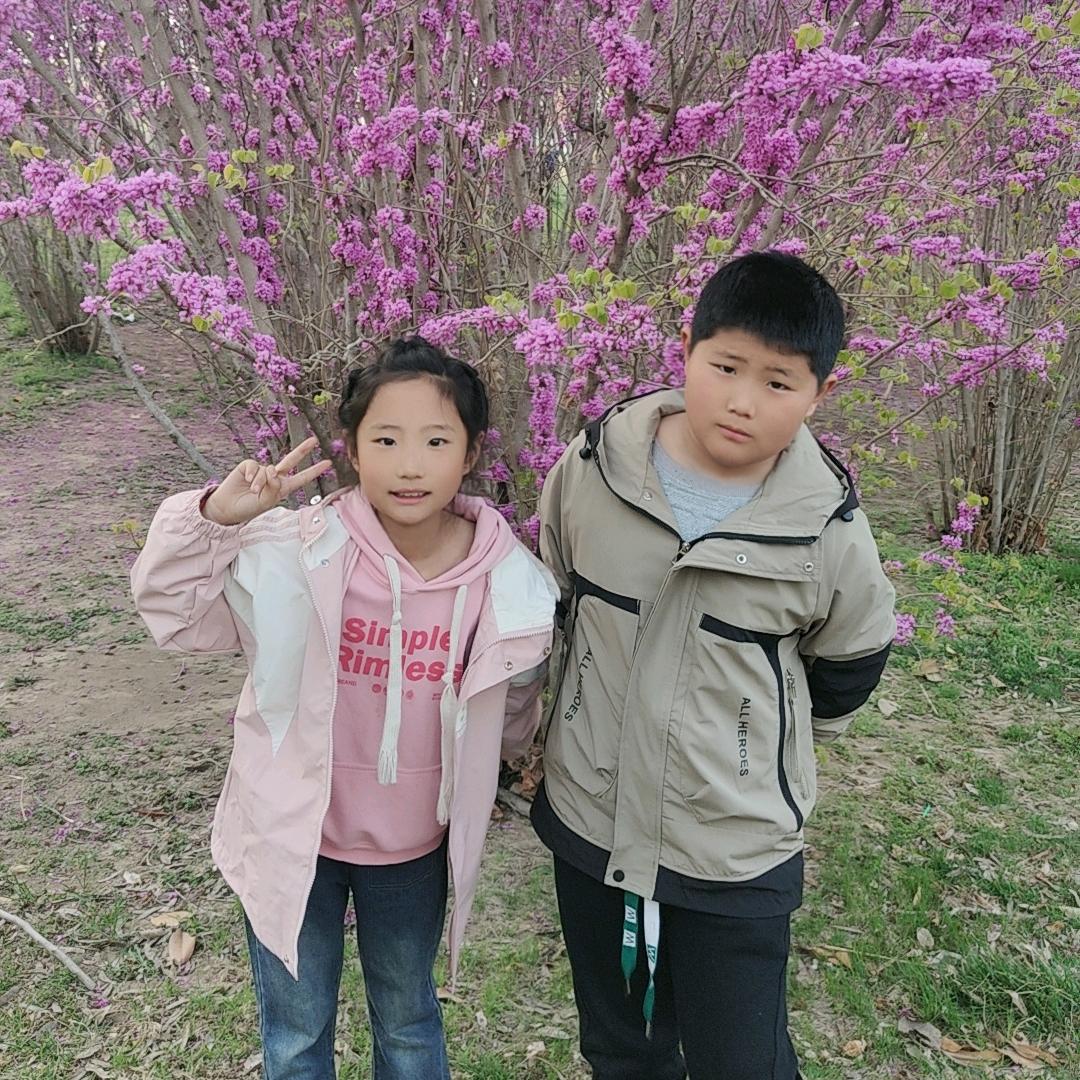 辰羽～岁月静好