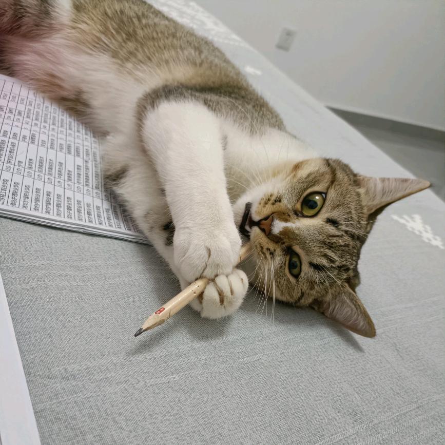 时光清浅岁月无恙