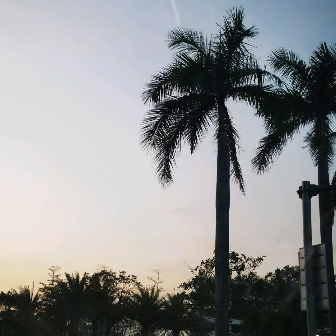 不一样的烟火