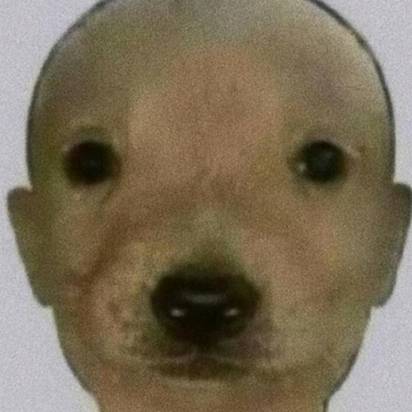战神猪儿虫
