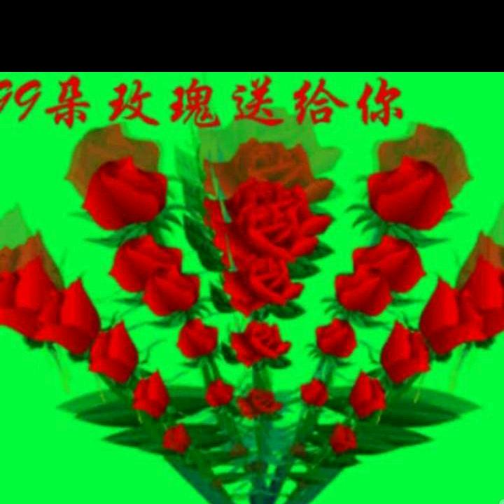 一个不会玩手机的老头