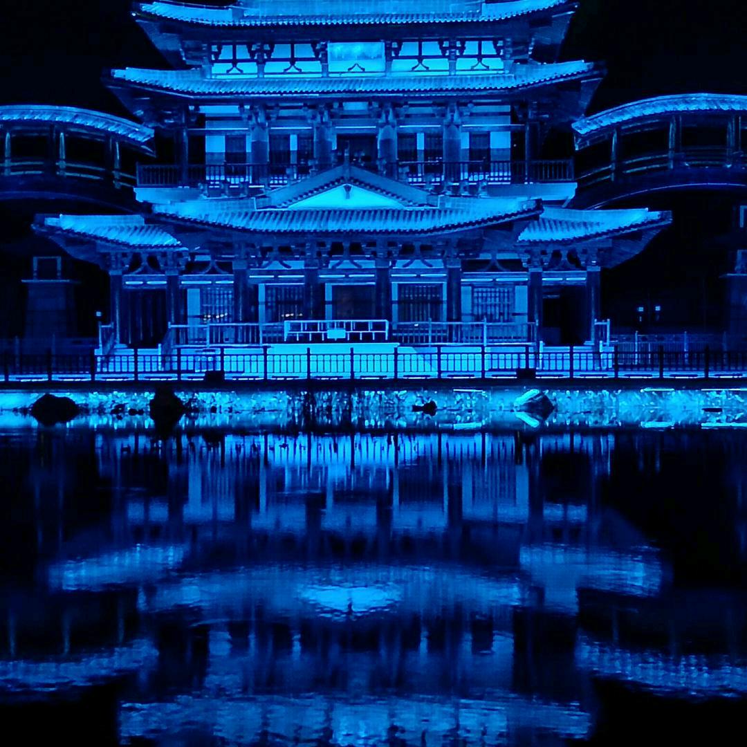 牛牛