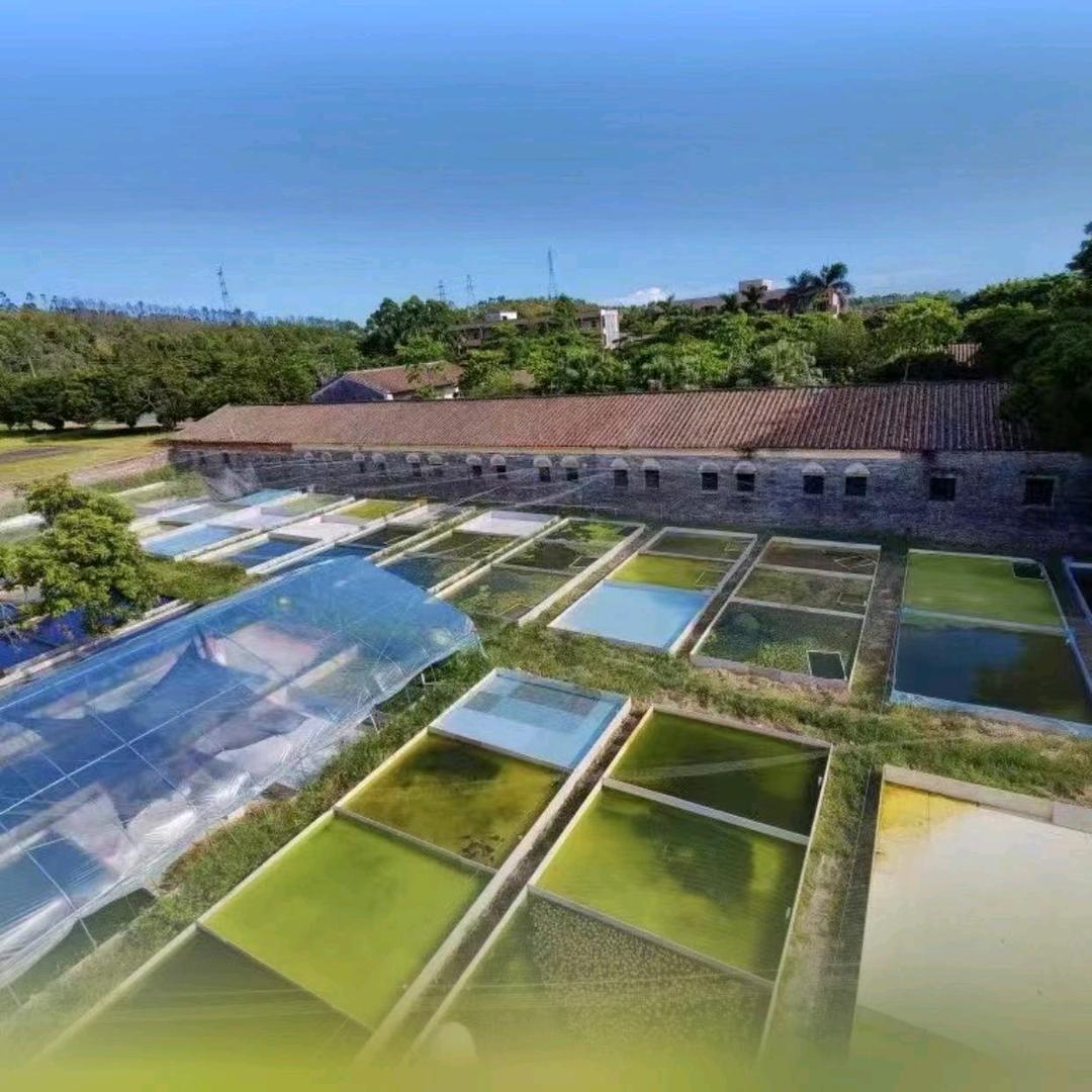 风云国斗渔场