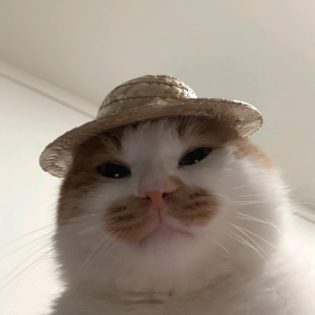 纯情母蟑螂总被男人骗