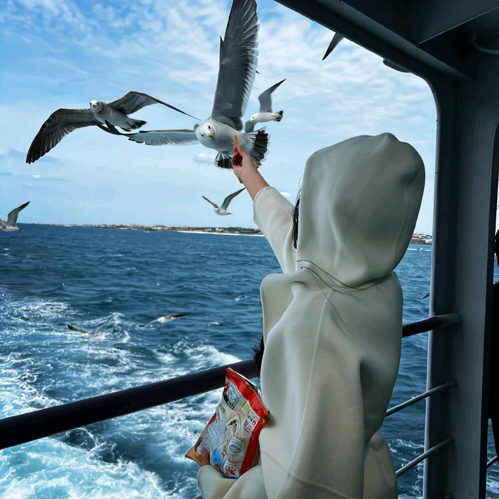 我再也不是高中生了