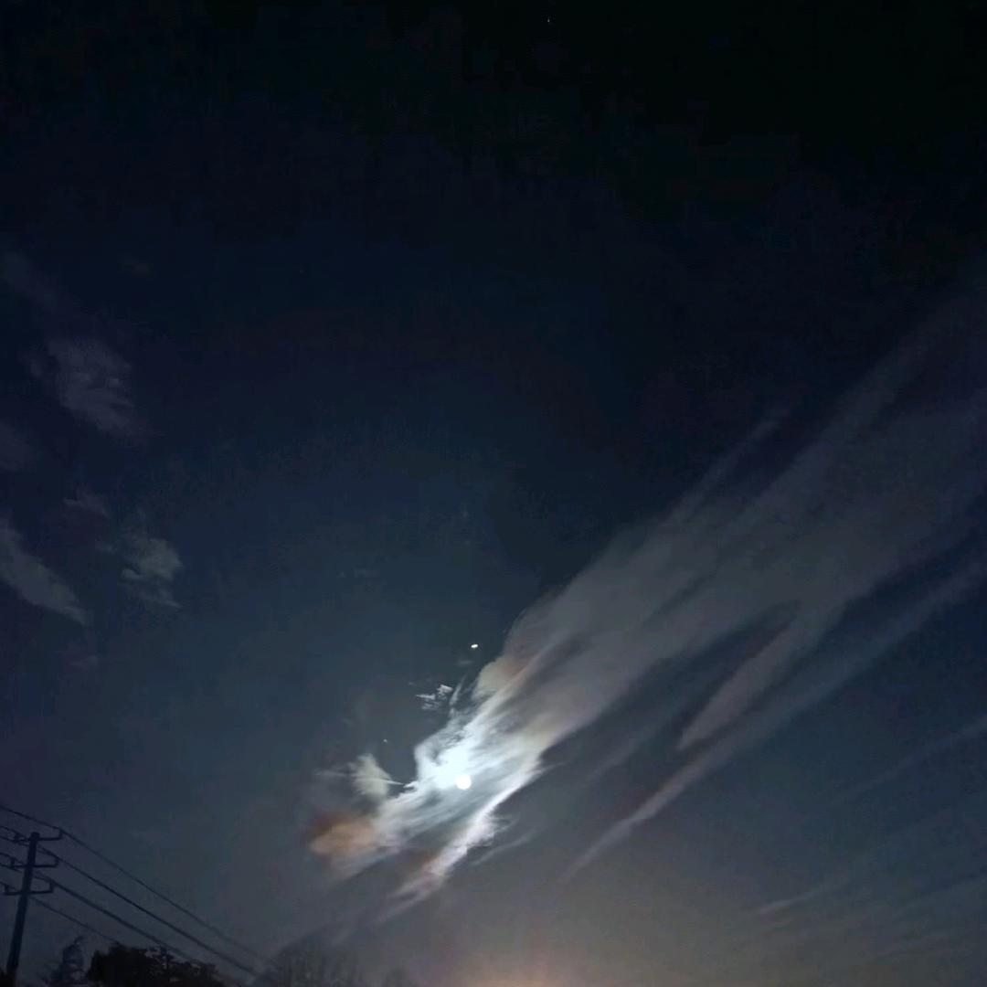 大地林语