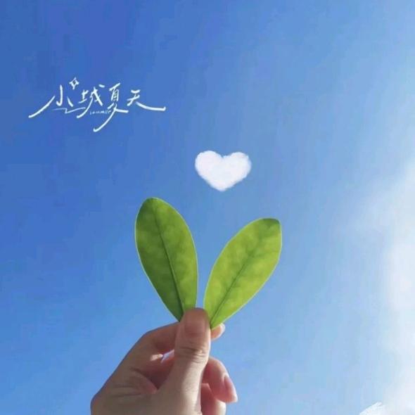 阿丽