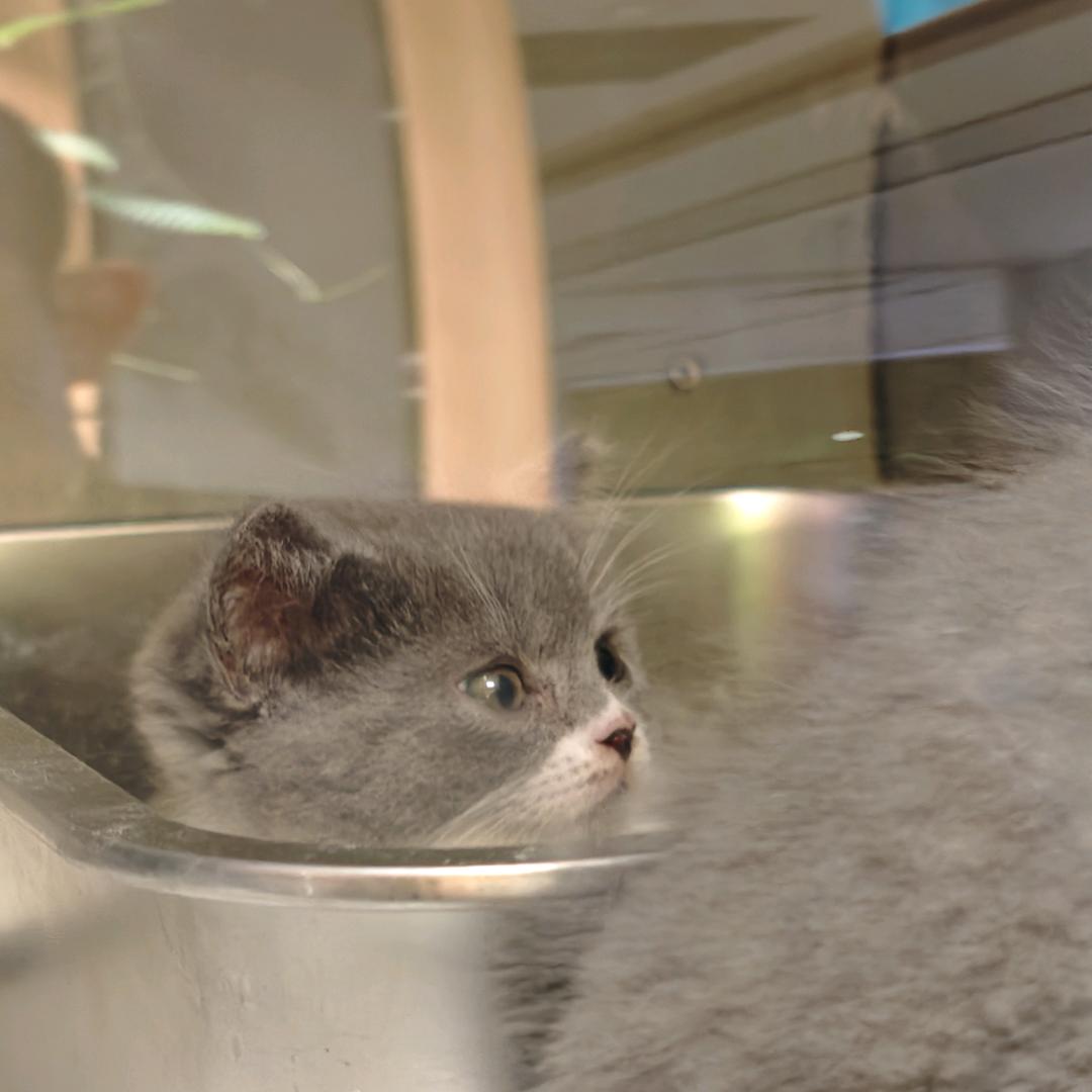 放屁带毒崩谁谁无