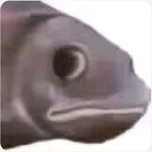 吴文翰