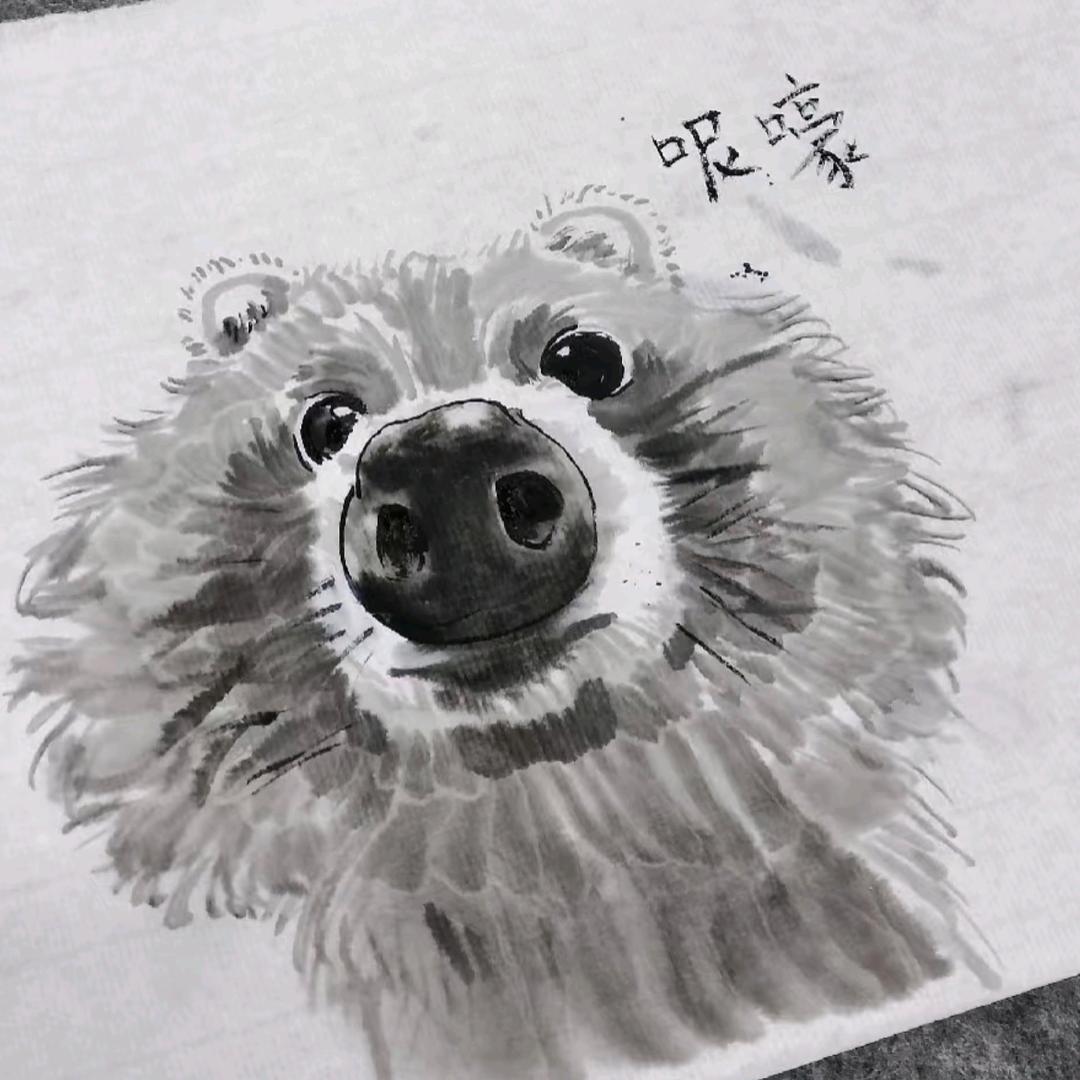 躺赢的一箱油