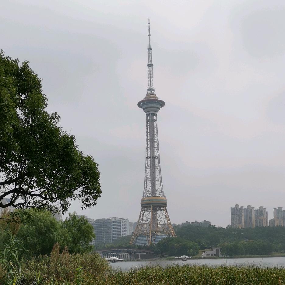 任我行-