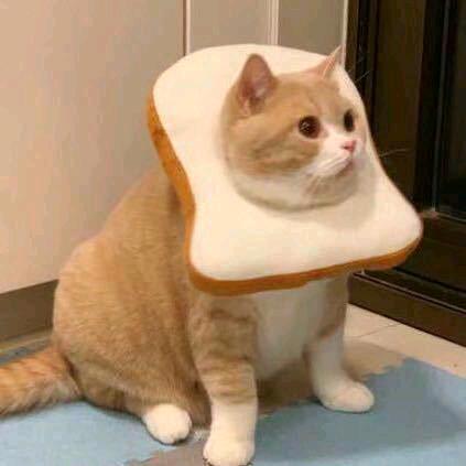 大明湖畔等某人