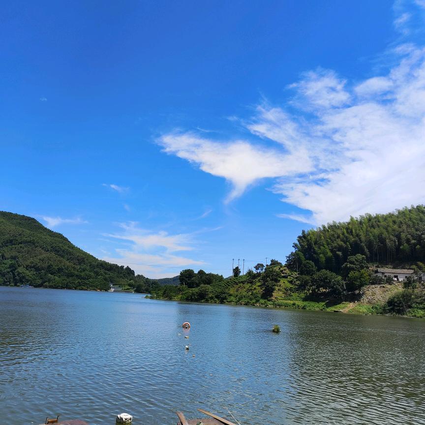 山竹竹，，，，，