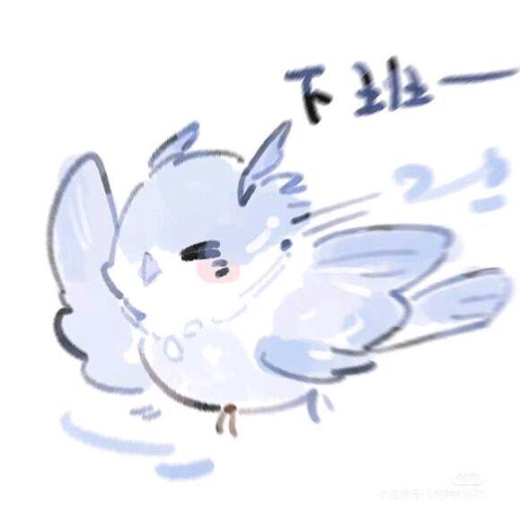 鸟呆呆