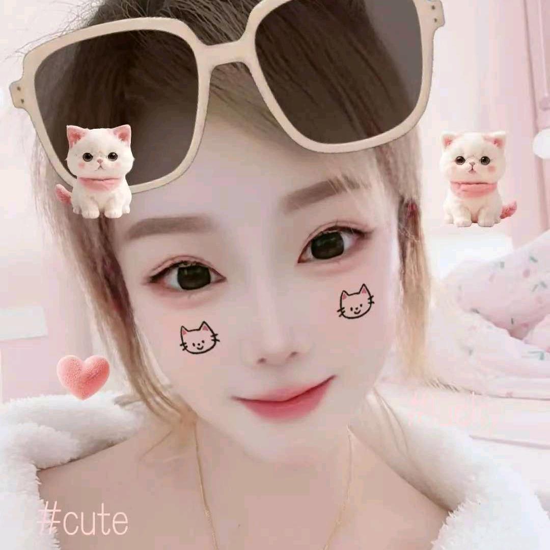 笨猪  美娜