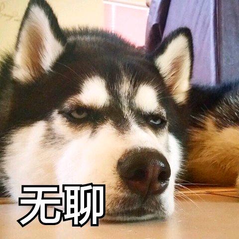 用户9527