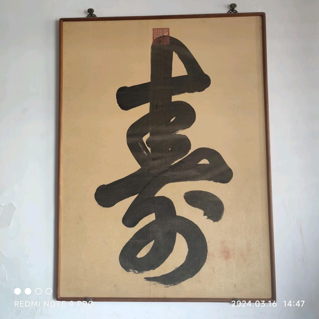 天泽的日常生活