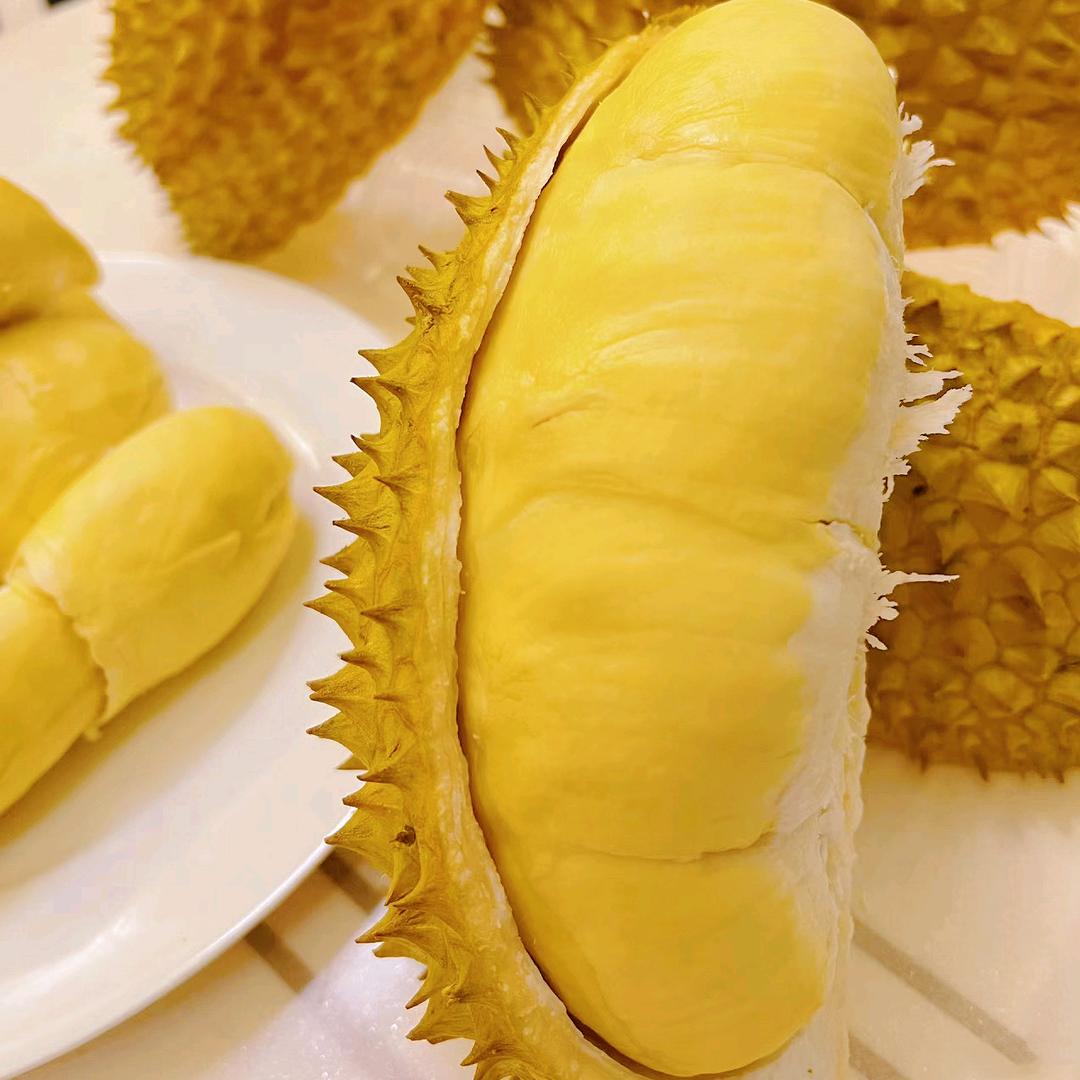 榴莲老树
