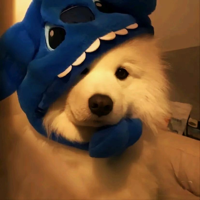 ‍‍‍‍‍