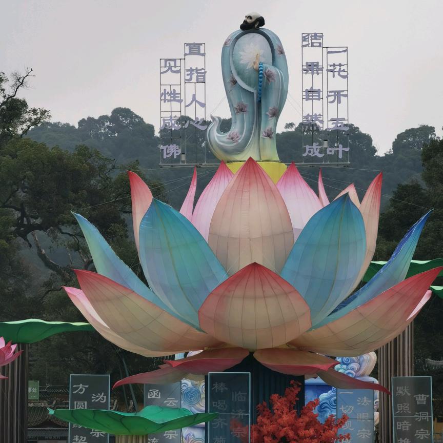心怀感恩皆美好