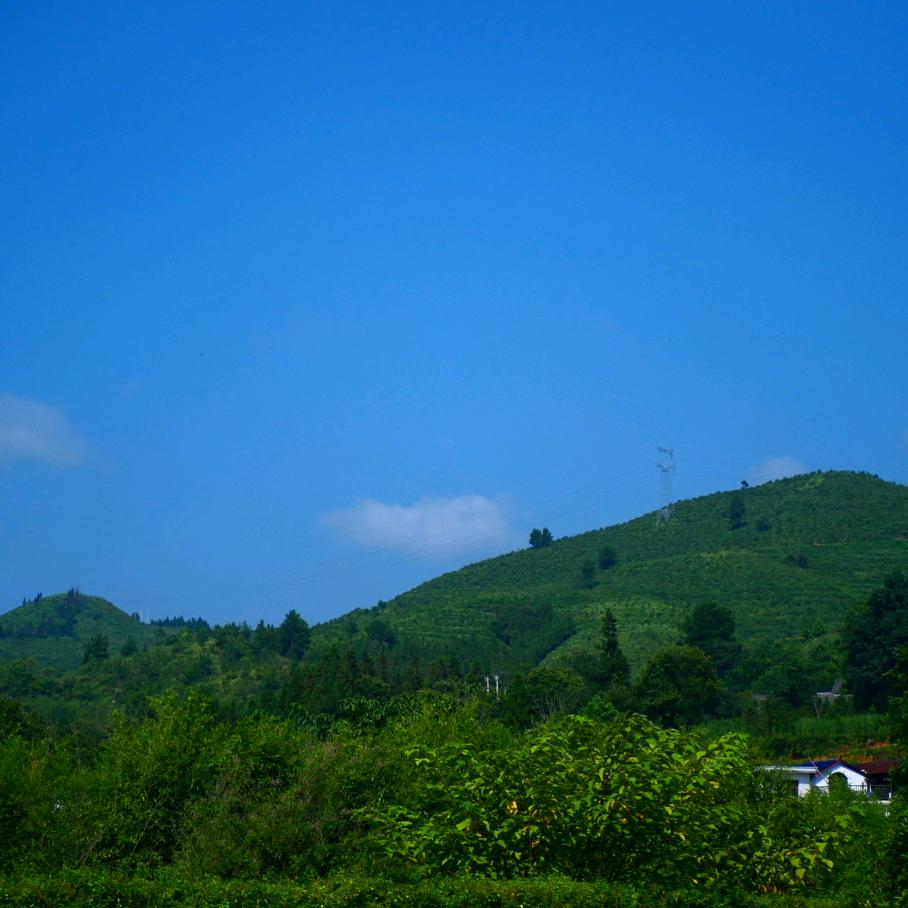 威化饼干